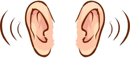 怎样区分耳垂和耳珠（耳珠耳垂区别）