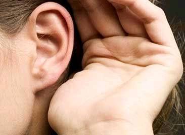 怎样区分耳垂和耳珠（耳珠耳垂区别）