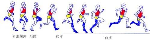 二级运动员1000米跑步标准成绩（二级运动员长跑一千米是多少分钟）