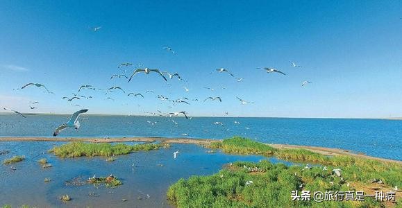 中国淡水湖排名前十（中国淡水湖排名前十面积）