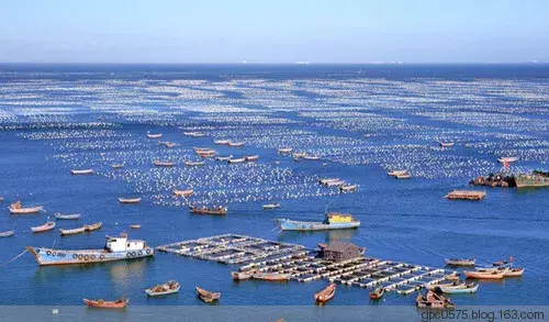 中国的舟山渔场建在什么流（中国的舟山渔场建在什么流显著的孩子）