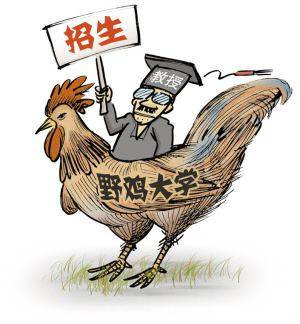 广西省十大野鸡院校（广西有多少个野鸡大学,2020年的）